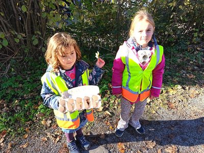 Schaetze_der_Natur_2a___1_