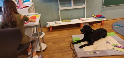 Aktivitaeten_Schulhunde5
