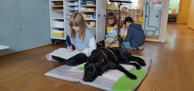 Aktivitaeten_Schulhunde6