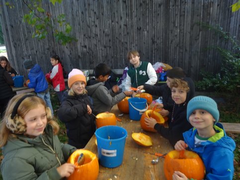 Herbst3a25g