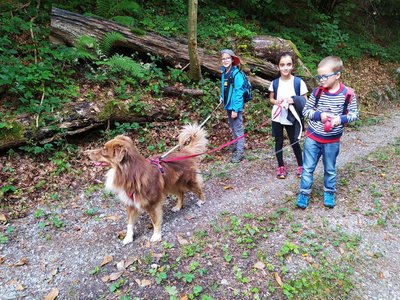 Aktivitaeten_Schulhunde2