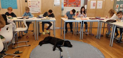 Aktivitaeten_Schulhunde7
