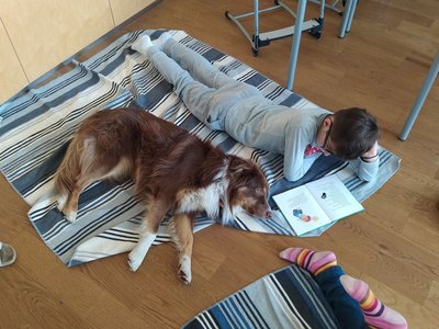 Aktivitaeten_Schulhunde4