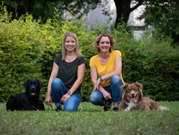 WasisteinSchulhund2