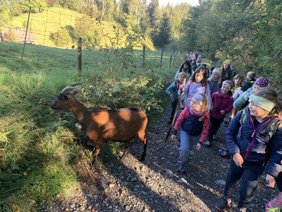 Wandertag3b25B_Kopie